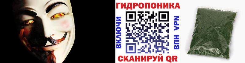 Бошки Шишки план  дарнет шоп  Моздок 